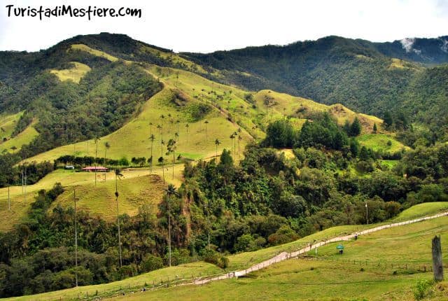 Cocora-Valley-Colombia