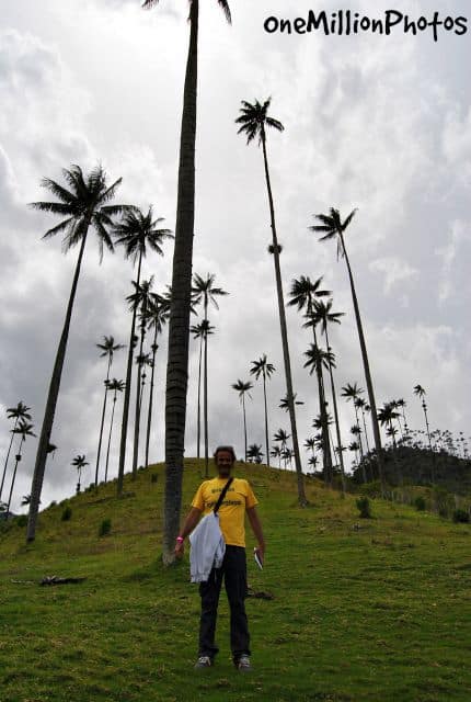 OneMillionPhotos_493_Valle del Cocora OneMillionPhotos ValledelCocora