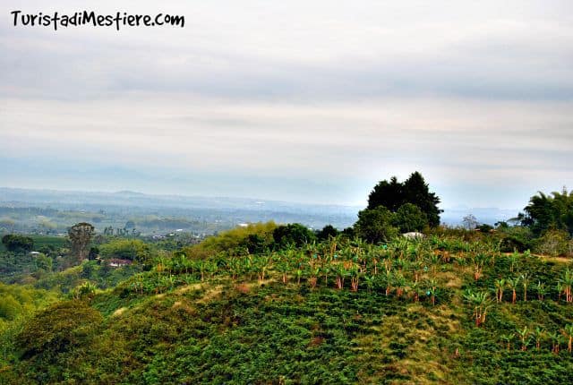 Panorama-Eje-Cafetero
