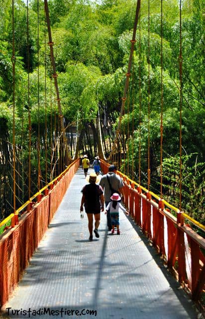 Puente-Colgante-Parque-Tematico-Cafe