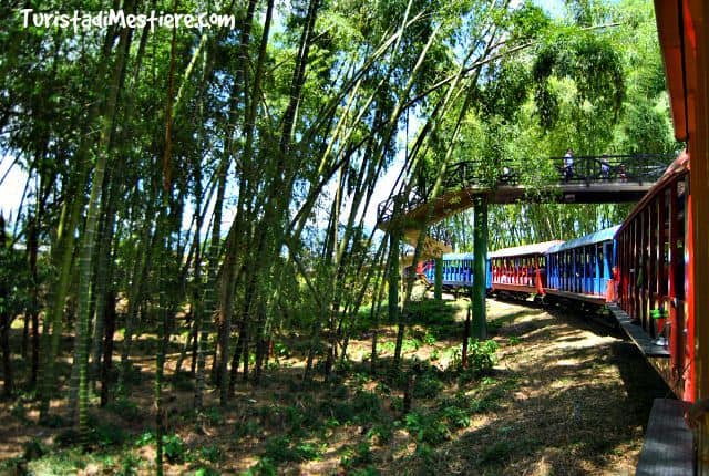Trenino-Parque-Tematico-Cafe