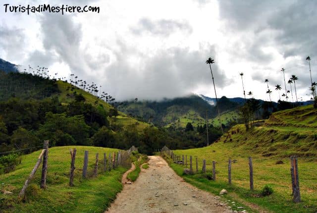 In sentiero che si addentra nella Valle Cocora