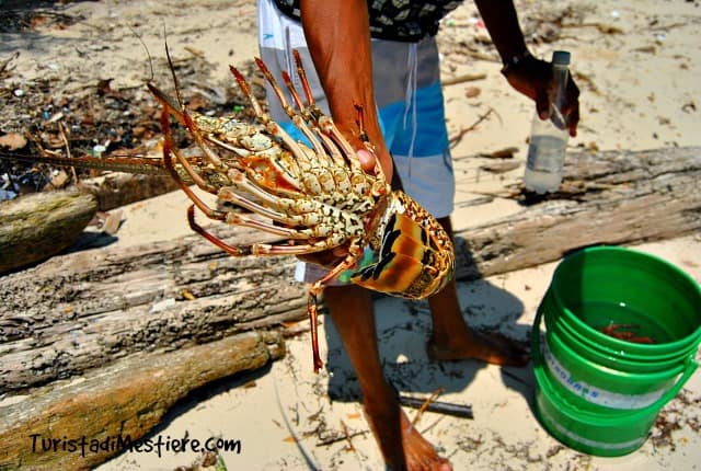 Cosa-mangiare-Colombia-pesce