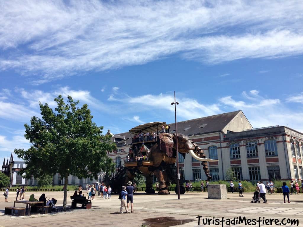 Elefante-Nantes