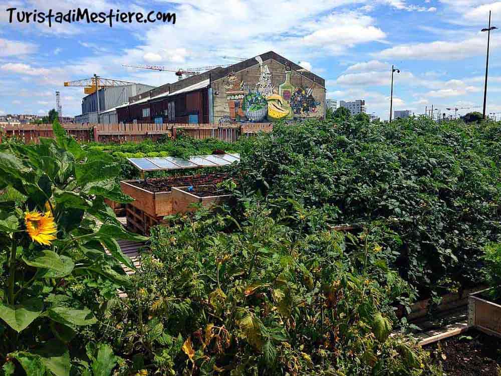 Potager-de-la-Cantine-Nantes