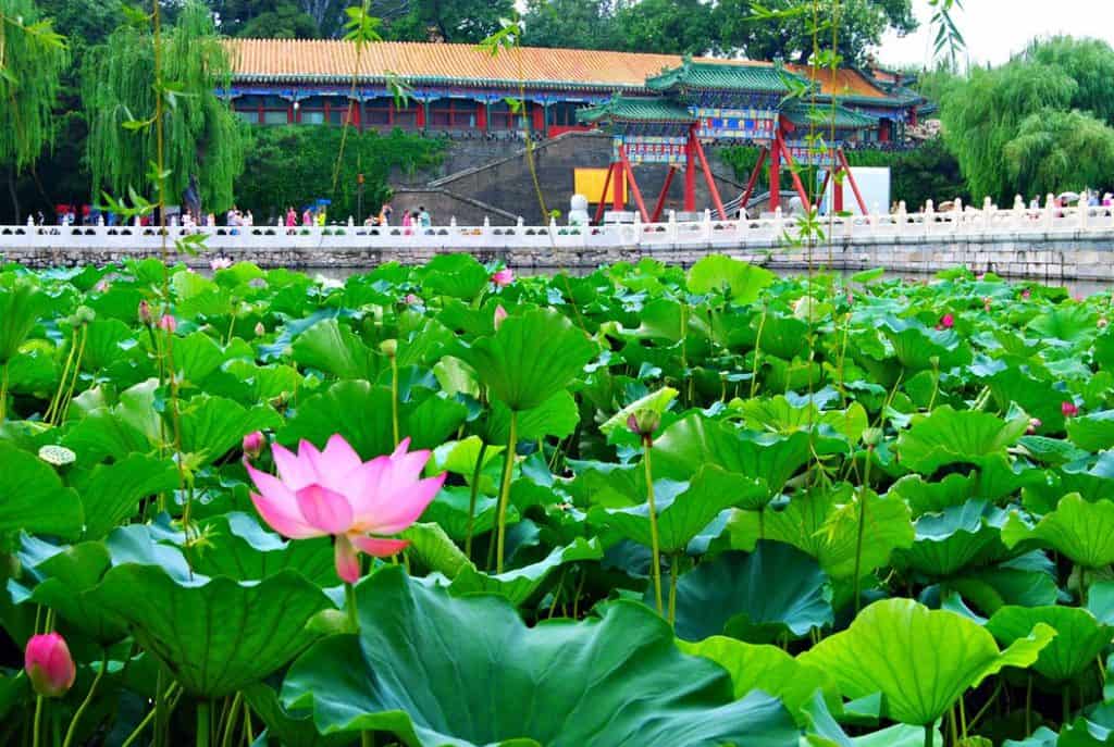 Cosa vedere Pechino BeiHaiPark