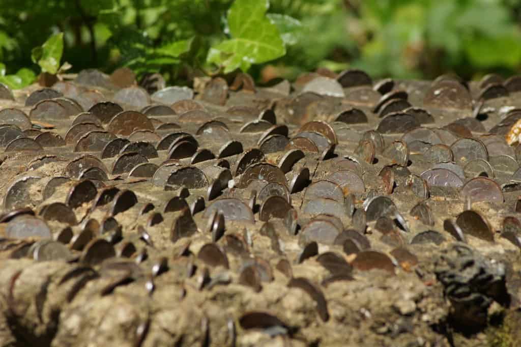 Portmeirion-coin-tree