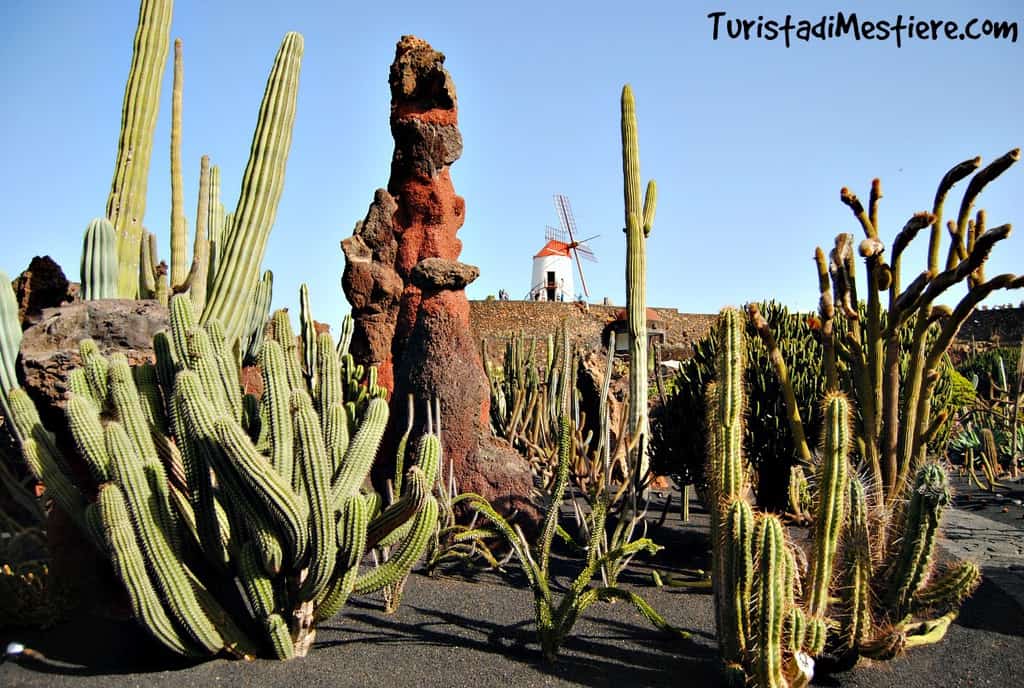 Giardino-cactus-Lanzarote