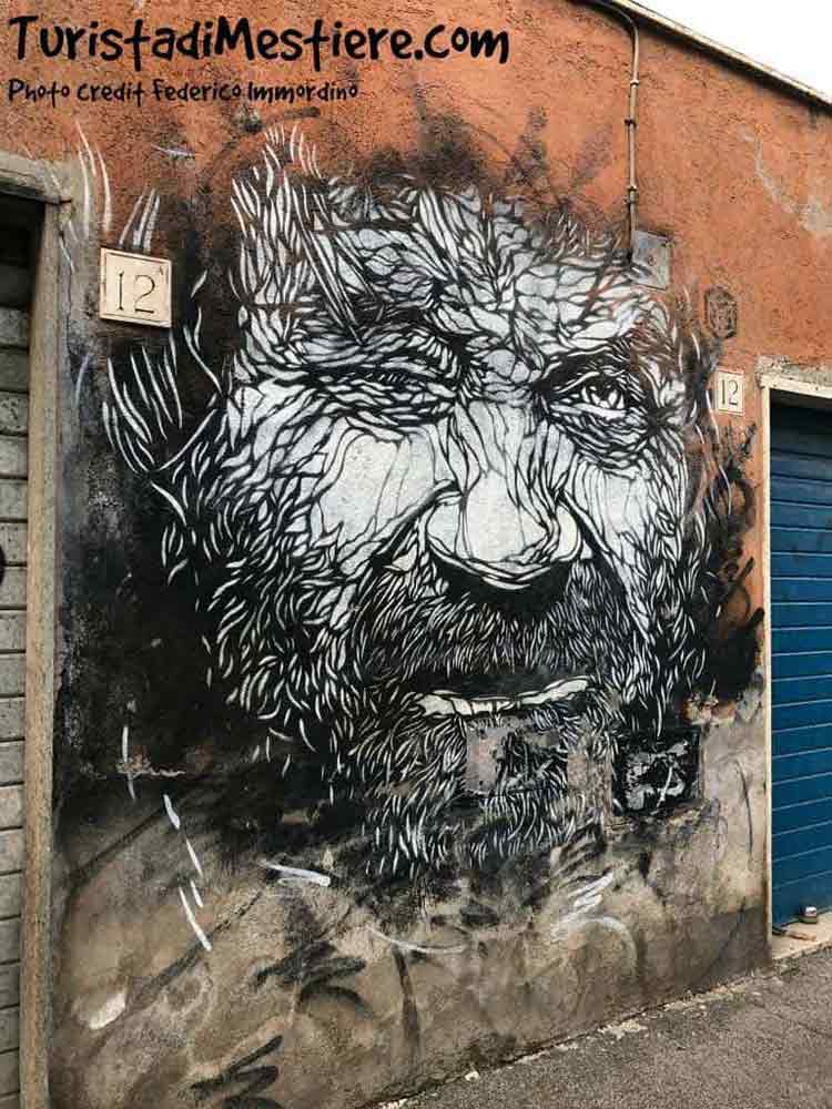 Street-art-roma-C215
