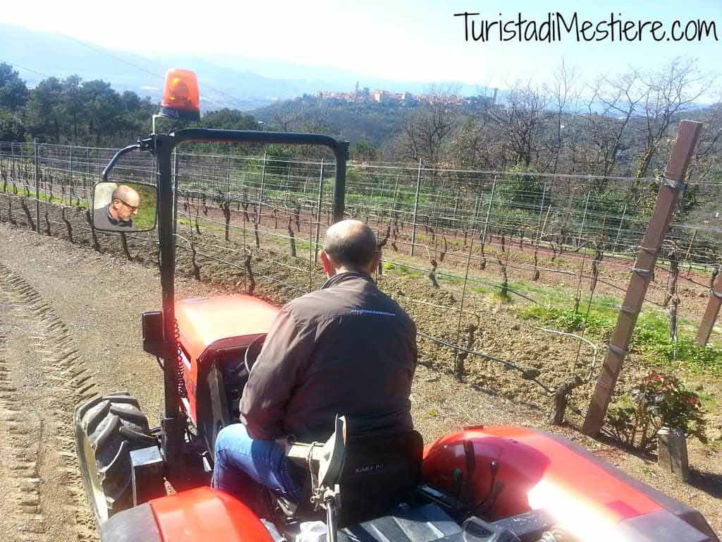 Azienda-Agricola-Ottaviano-Lambruschi