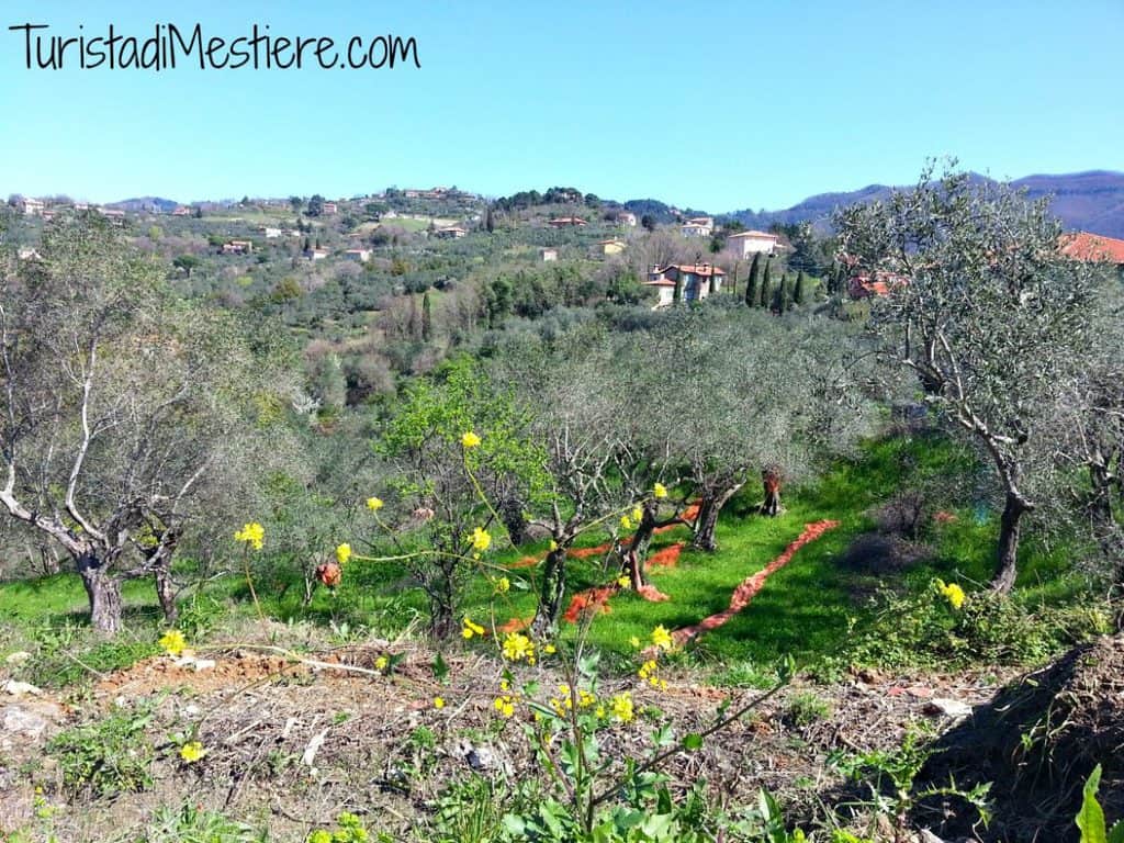 Azienda Pascale Francesca Fosdinovo