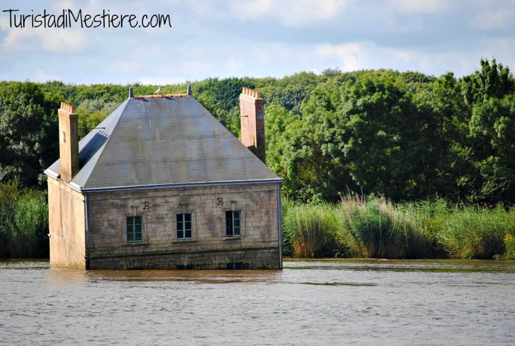 Estuaire opere Loira Nantes
