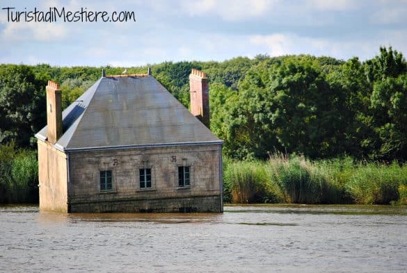 Estuaire opere Loira Nantes