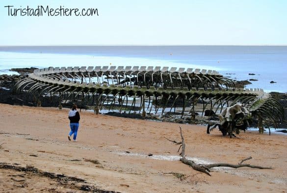 Estuaire opere Loira Rive sud