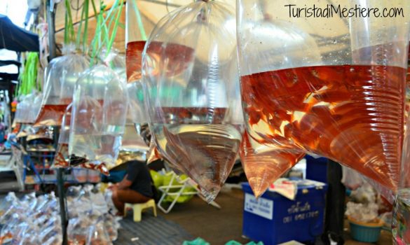 chatuchak market bangkok