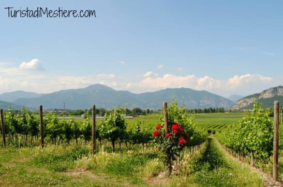 Franciacorta paesaggio