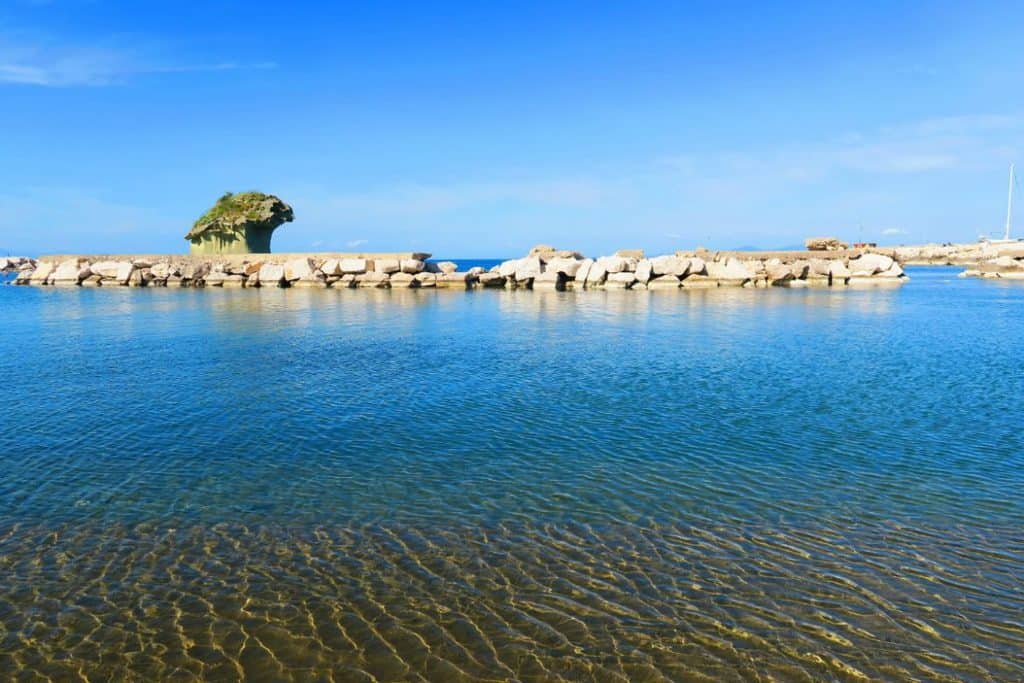 Fungo Lacco Ameno Ischia