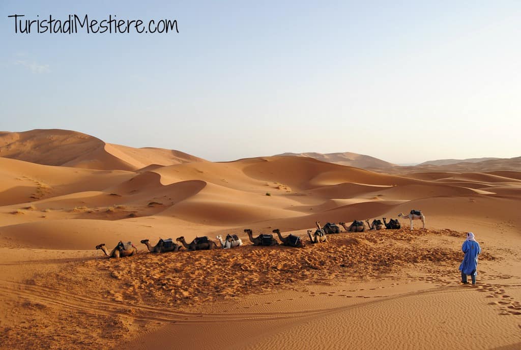 Camel-ride-Erg-Chebbi-