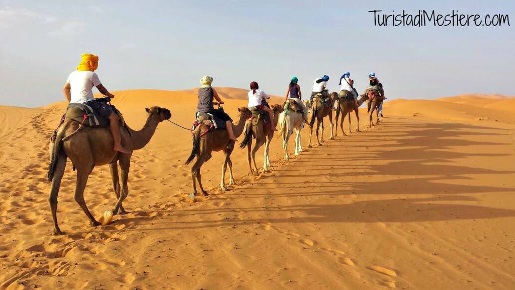 Camel-ride-Erg-Chebbi