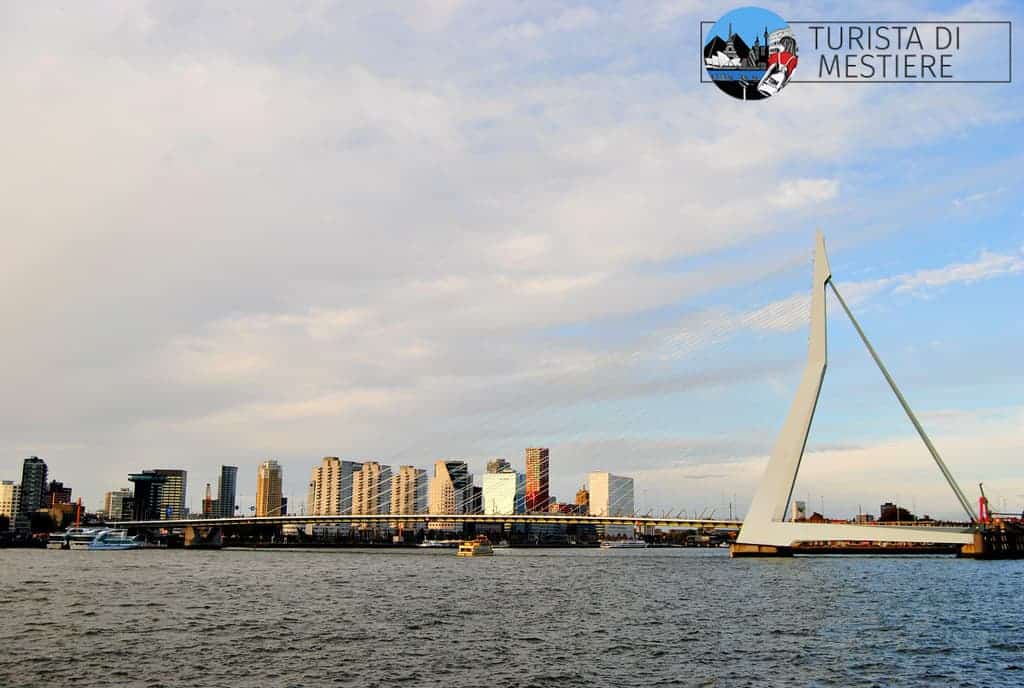 Erasmusbrug-ponte-rotterdam
