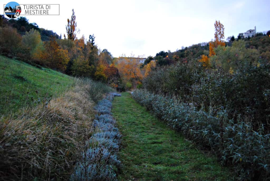 Giardino-delle-Farfalle-Cessapalombo