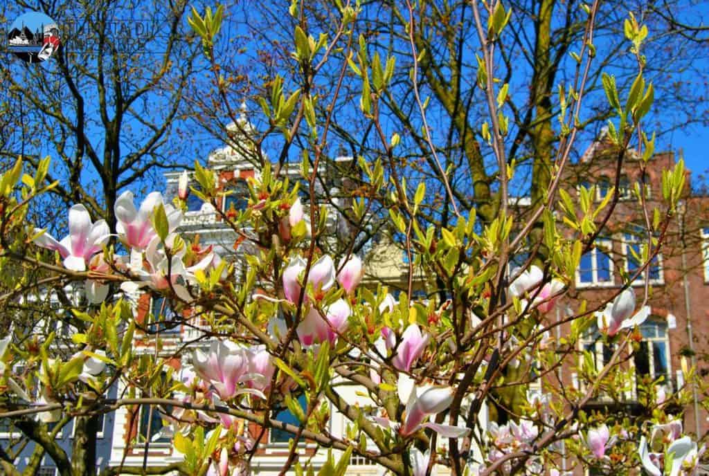 Springtime