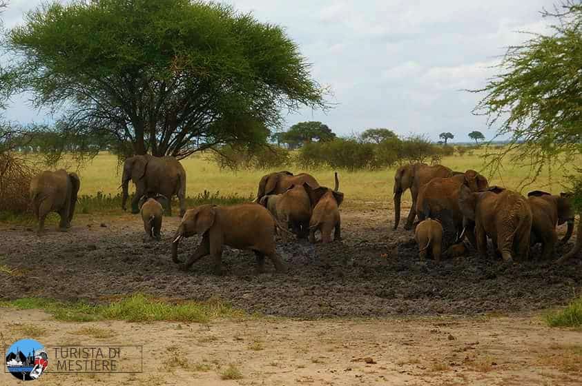 Safari-Tanzania-Tarangire-Park-