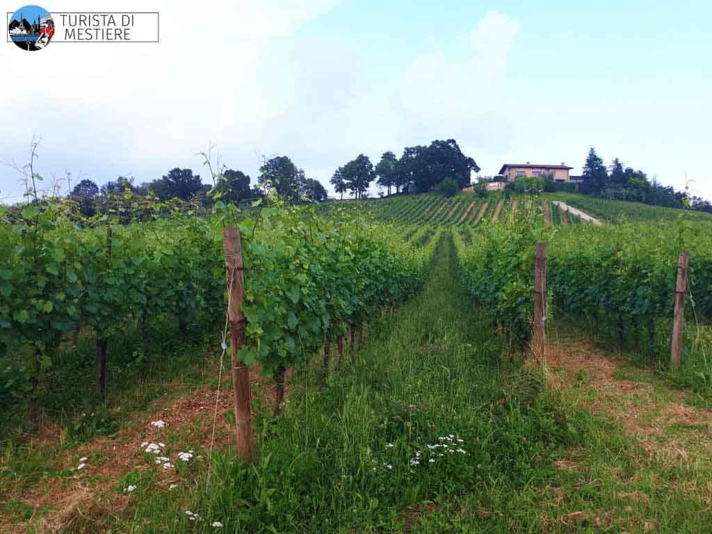 Cantina-Ronco-Calino