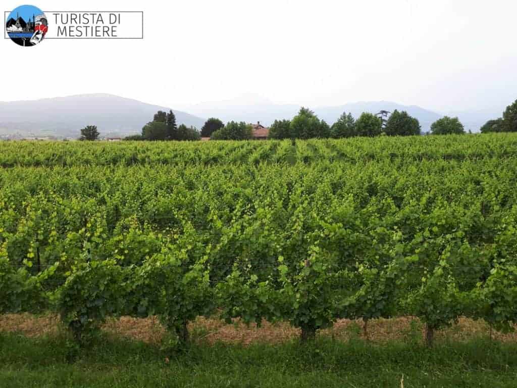 Vigna Ronco Calino Franciacorta