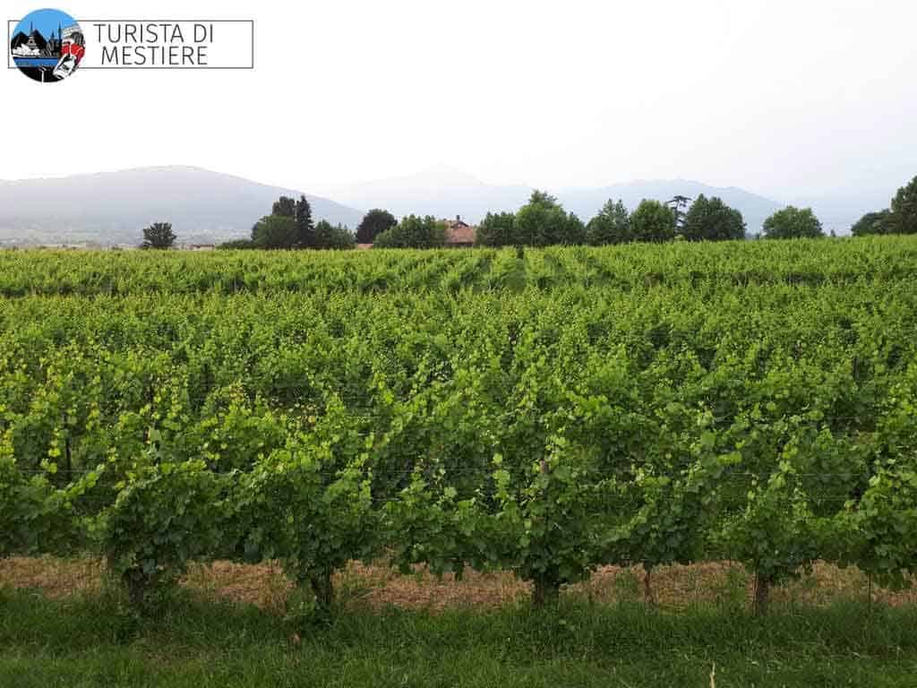 Vigna-Ronco-Calino-Franciacorta