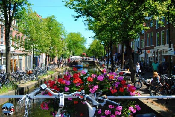Cosa vedere a delft