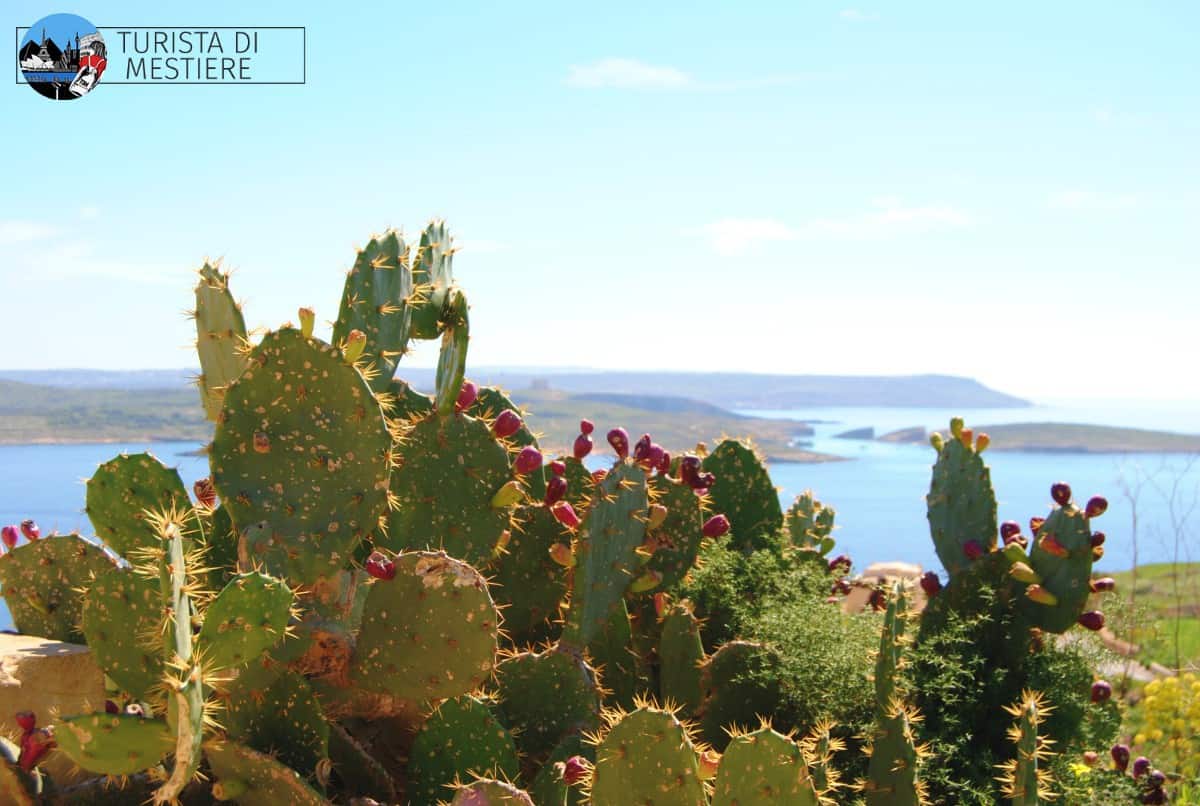 Gozo-blue-lagoon