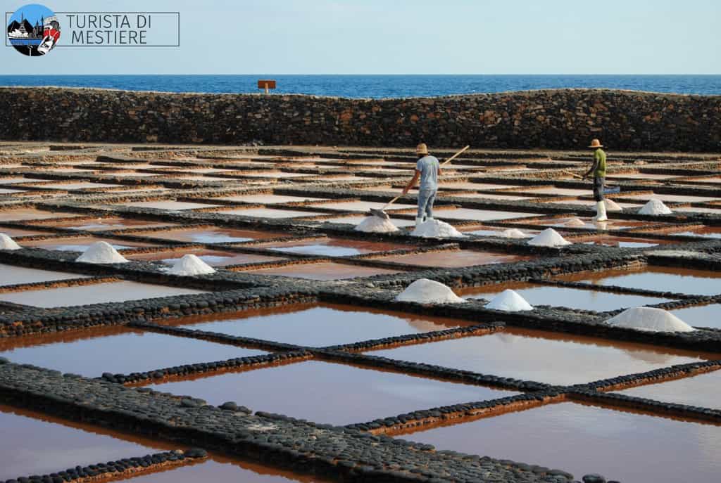Saline-Carmen-Fuerteventura