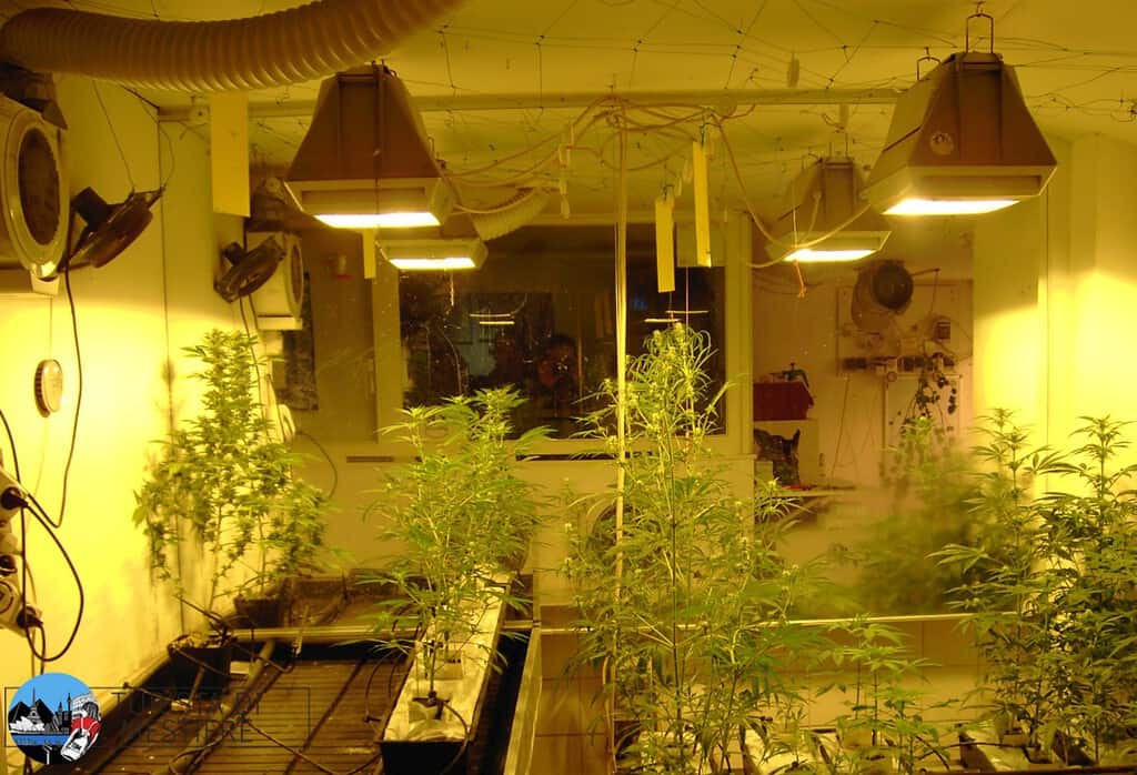 Il giardino biologico del College Cannabis Amsterdam