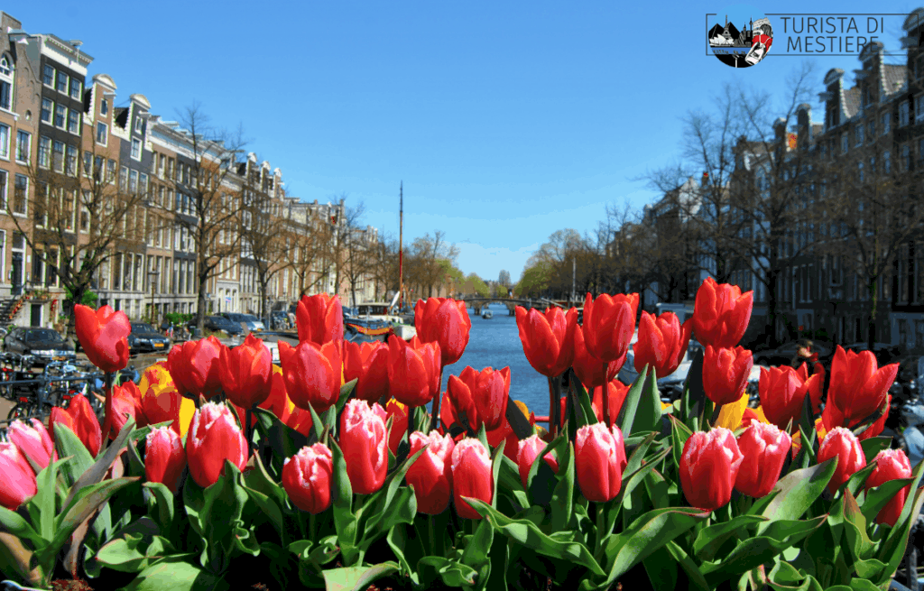 cosa-vedere-amsterdam-