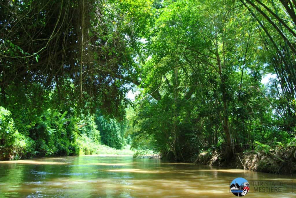 cosa-fare-jamaica-rafting