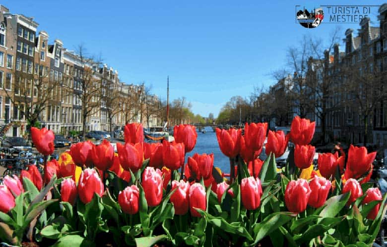 La cartolina classica da Amsterdam in primavera