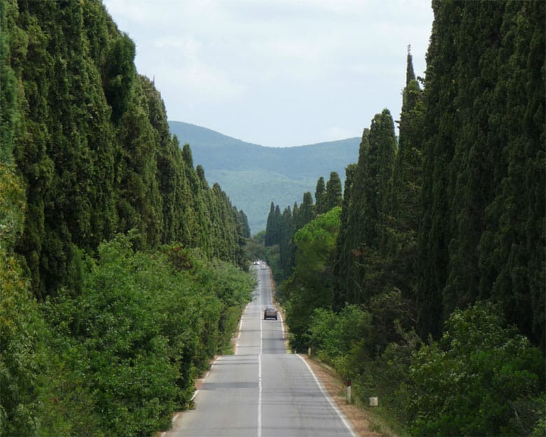 viale dei cipressi Bolgheri Castagneto Carducci