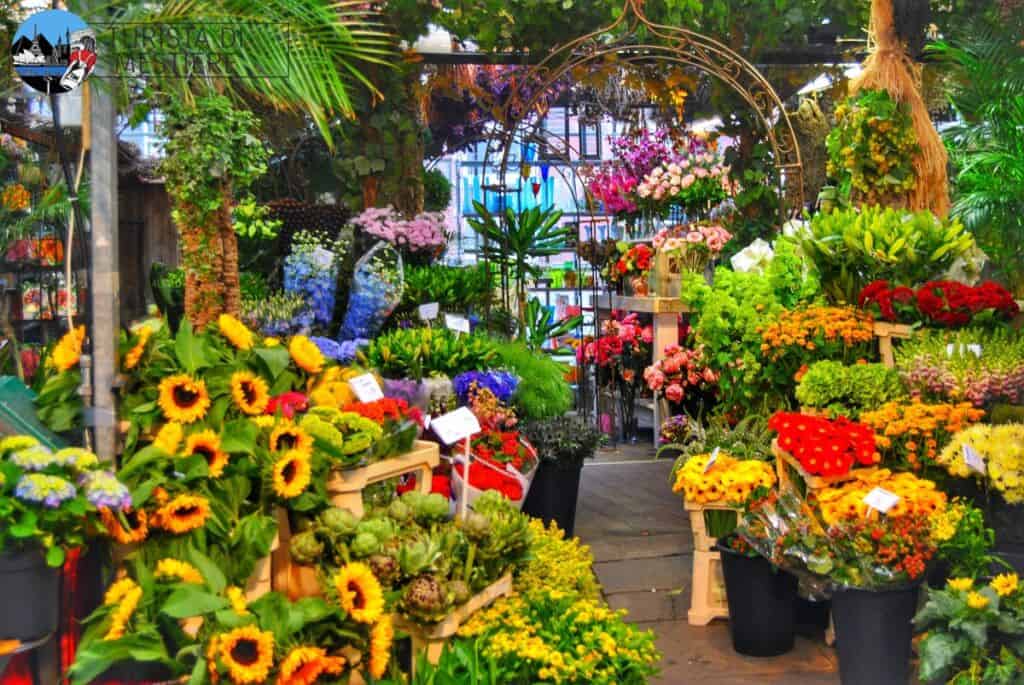 mercato-dei-fiori-amsterdam