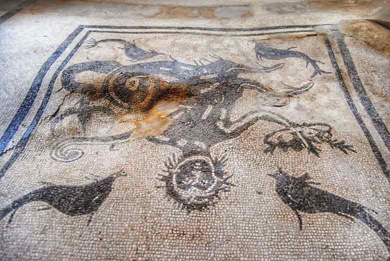 Dettaglio del tepidarium maschile delle Terme del Foro