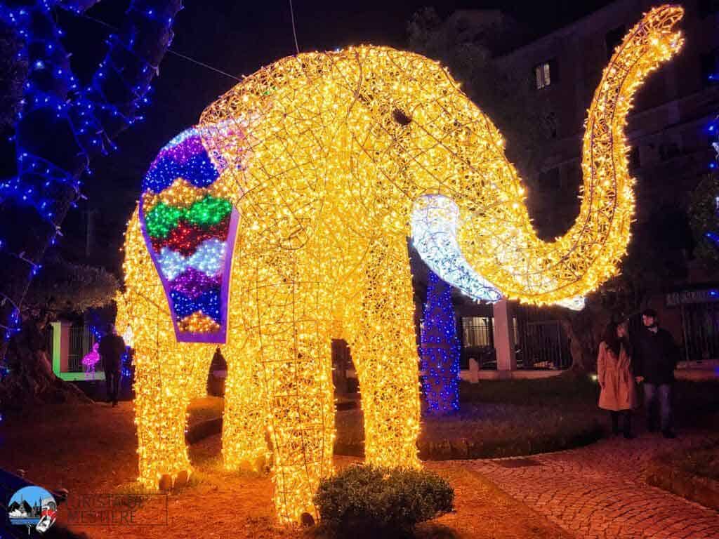 luminarie-di-gaeta-animali