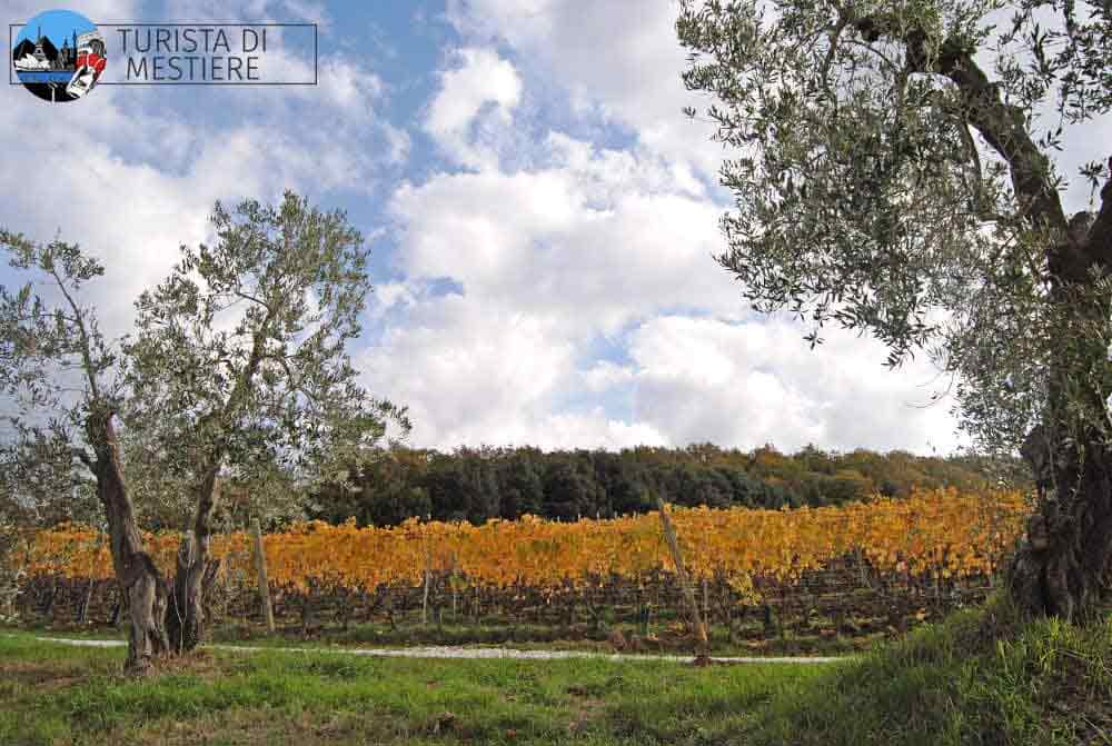 Azienda-Agricola-Toscani-Casale-Marittimo