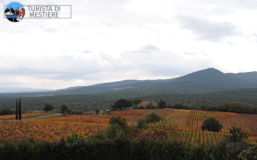 cantina-grattamacco-panorama