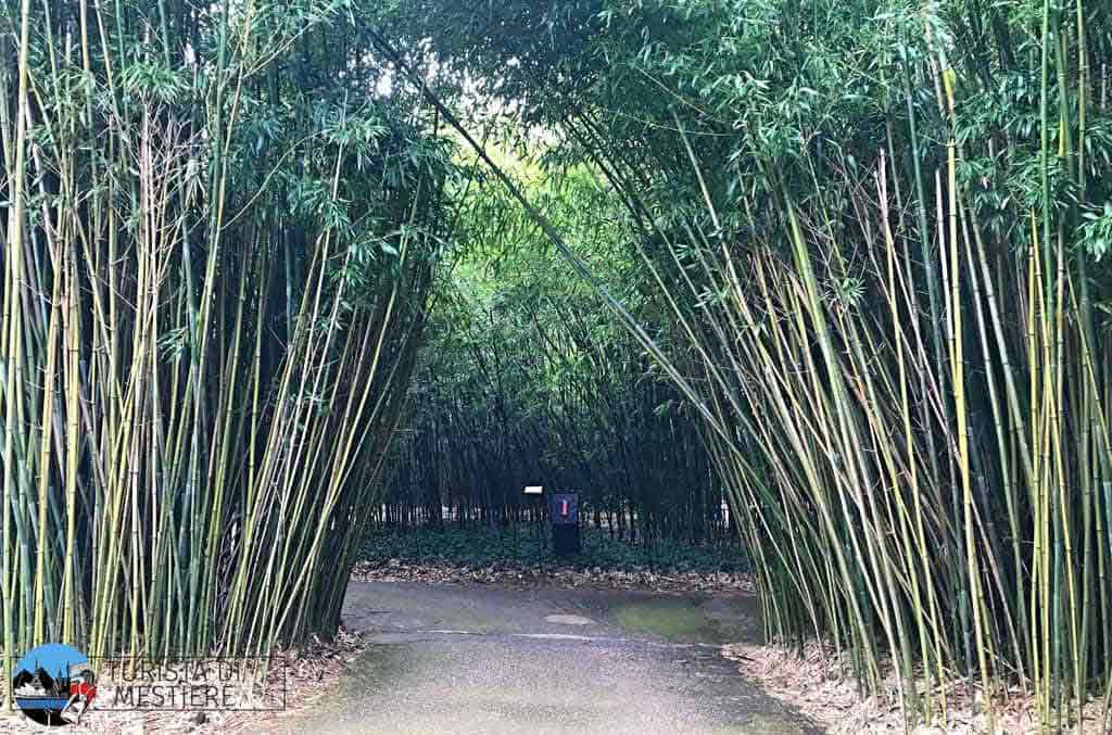 labirinto della masone