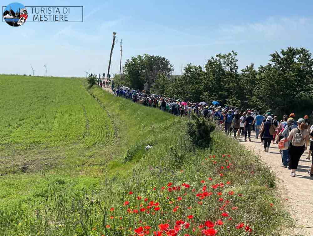 Processione-SantAlberto-montecorvino-fedeli