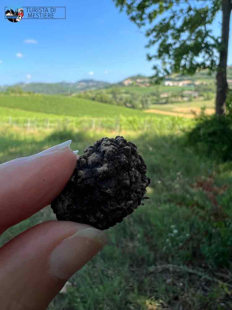 caccia-al-tartufo-nero-trifulau-monferrato