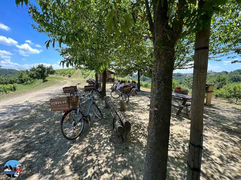le bici per raggiungere la zona pic nic nell'azienda Agricola Durando