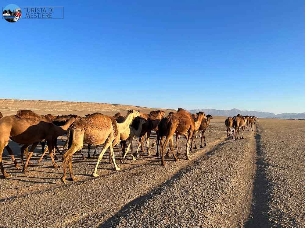 Escursione nel deserto iraniano