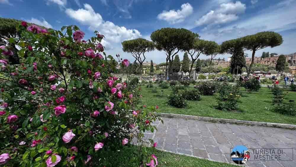 ROSETO-COMUNALE-ROMA