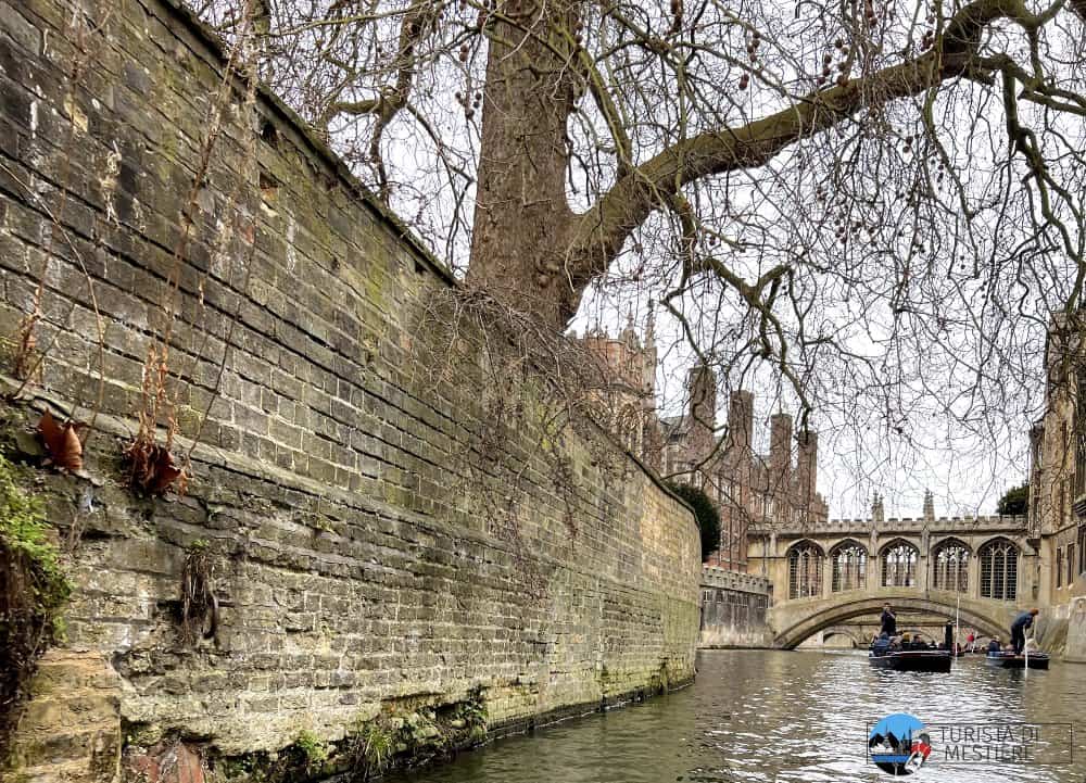 Bridge of Sights Cambridge